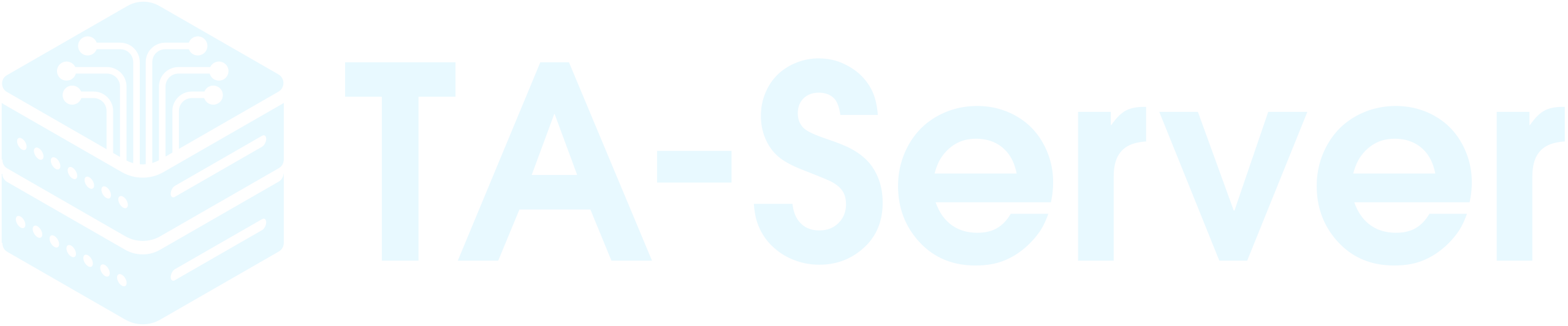 TA-Server DNS Manager